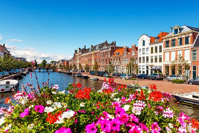 Highlight Bike Tours Haarlem - Choosing morning or afternoon