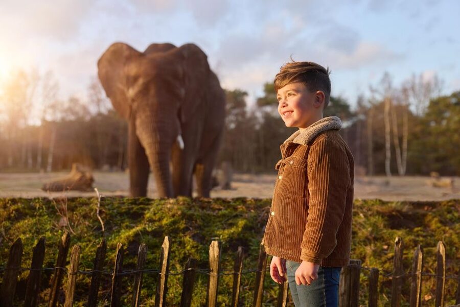 Hilvarenbeek: Safaripark Beekse Bergen Entry Ticket - Taking the Livingstone or Stanley boat safari