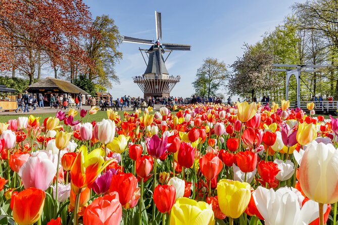 Keukenhof, Flower Fields, Volendam and Zaanse Schans Small-Group Tour - Key points to know before booking