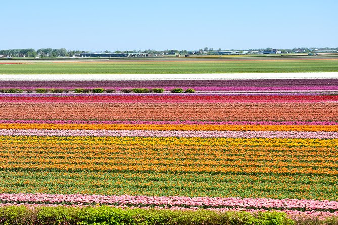 Keukenhof, Flower Fields, Volendam and Zaanse Schans Small-Group Tour - The optional canal cruise or This is Holland ticket