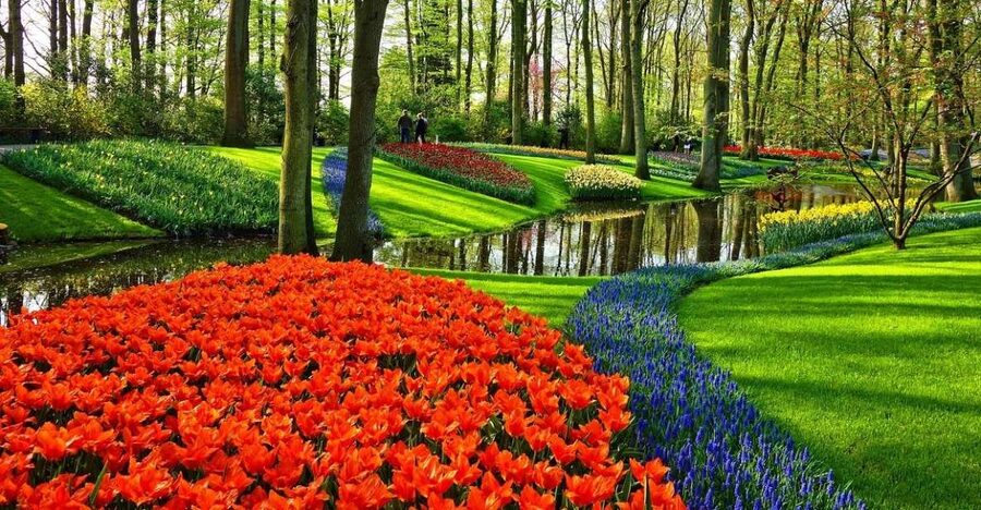 Keukenhof Gardens and Tulip Experience Tour from Amsterdam - Key points to know before booking