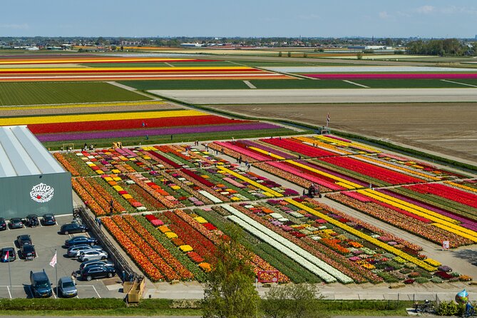Keukenhof Gardens and Tulips Private Tour from Amsterdam - Key points to know before booking