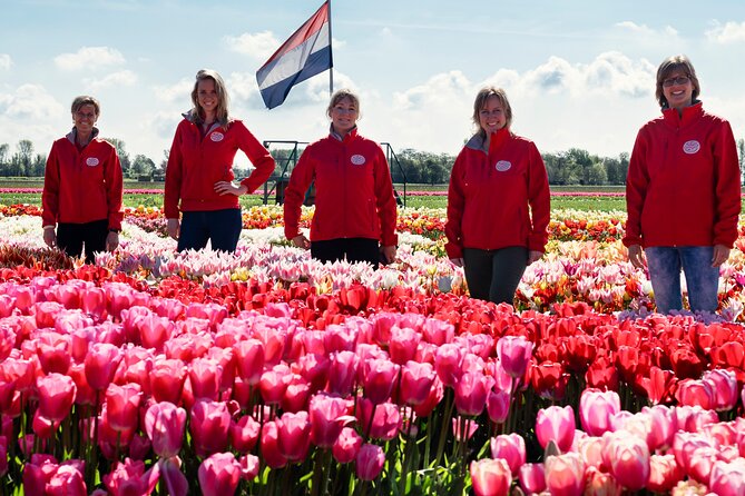 Keukenhof Gardens and Tulips Private Tour from Amsterdam - What the driver-host adds