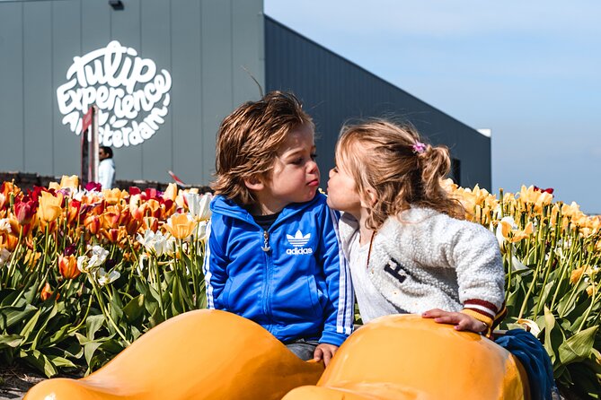 Keukenhof Gardens and Tulips Private Tour from Amsterdam - Walking, comfort, and group fit