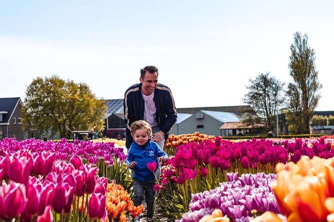 Keukenhof Gardens and Tulips Private Tour from Amsterdam - Hotel pickup makes the morning simpler