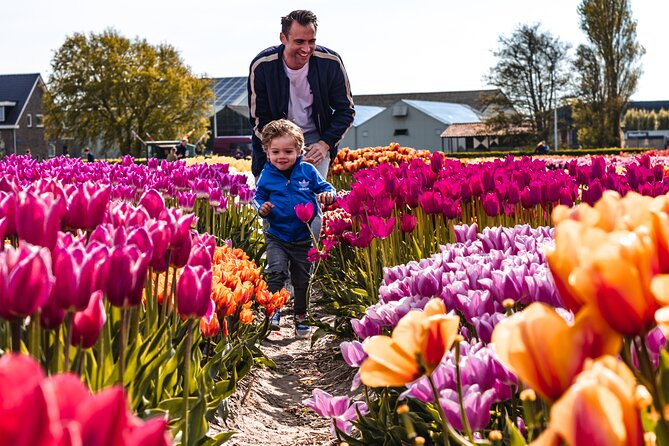 Keukenhof Gardens & Tulip Experience Tour from Amsterdam - One hour at the Tulip Experience Amsterdam