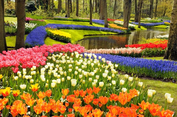 Keukenhof Gardens & Tulip Experience Tour from Amsterdam - Three and a half hours inside Keukenhof
