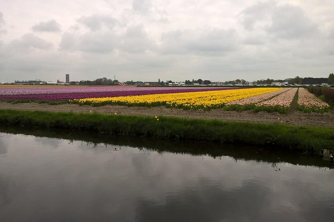 Keukenhof's Tulips and Windmills Small-Group Tour from Amsterdam - Clogs at Kooijman Souvenirs