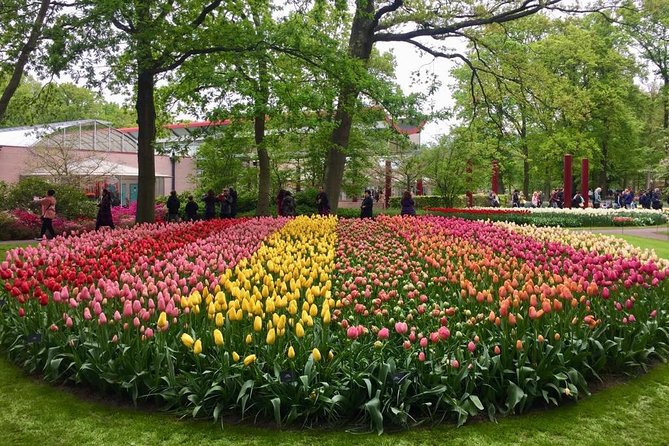Keukenhof's Tulips and Windmills Small-Group Tour from Amsterdam - Climb inside Molen De Kat