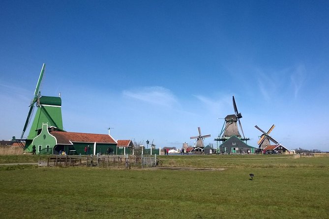 Keukenhof's Tulips and Windmills Small-Group Tour from Amsterdam - Three hours among Keukenhof’s flowers