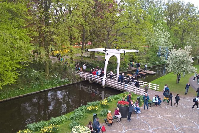 Keukenhof's Tulips and Windmills Small-Group Tour from Amsterdam - Meeting near Amsterdam Centraal