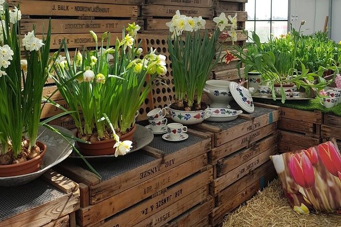 Keukenhof Skip-the-line Tickets: Countryside & Farm Private Tour - Two hours among Keukenhof’s flowers