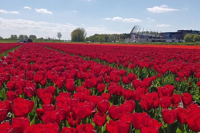 Keukenhof Skip-the-line Tickets: Countryside & Farm Private Tour - Zaanse Schans and the windmill view