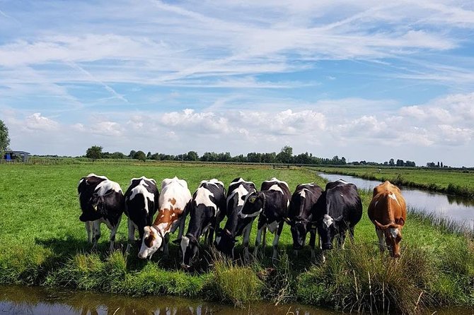 Keukenhof Skip-the-line Tickets: Countryside & Farm Private Tour - How much ground can you cover in eight hours?