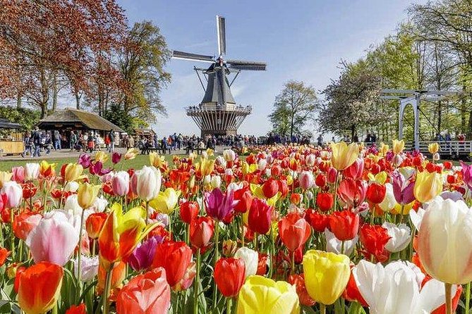 Keukenhof Skip-the-line Tickets: Countryside & Farm Private Tour - The comfort and value of a private Mercedes