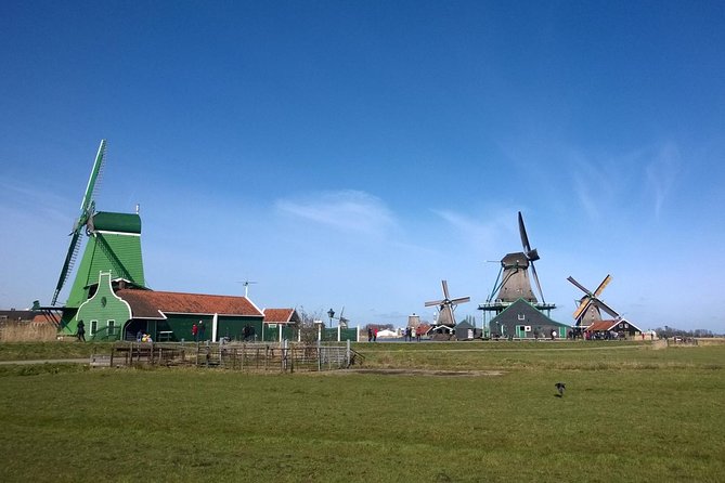 Keukenhof, Zaanse Schans Windmills Private Tour with Lunch - What the guides add to the day