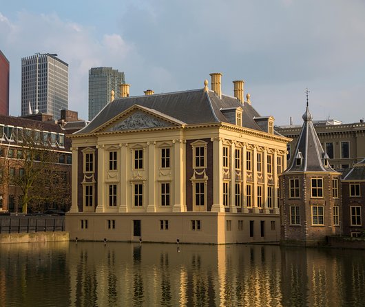 Kinderdijk, The Hague, Mauritshuis Private Tour from Amsterdam - Price, comfort, and the guide question