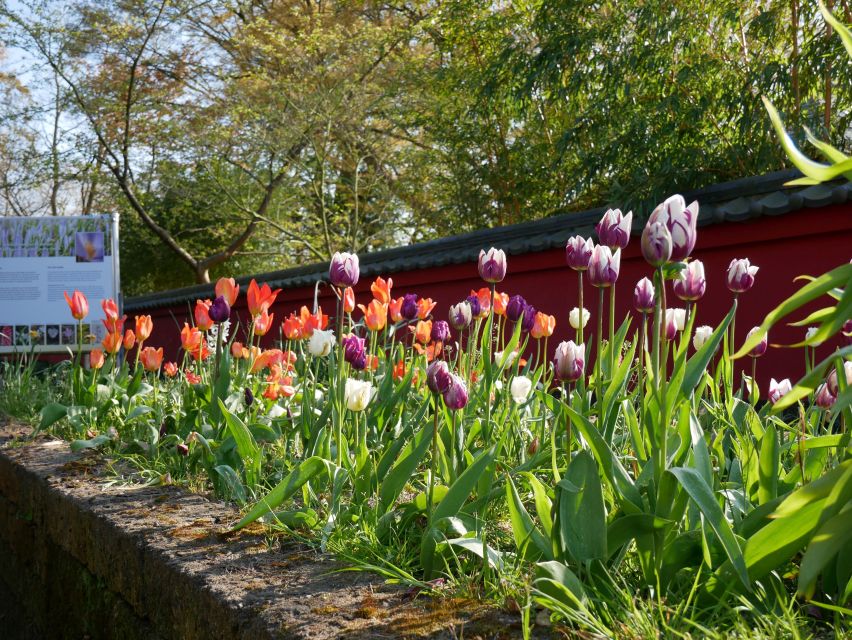 Leiden: Hortus Botanicus Entry Ticket - Tropical orchids and Southeast Asian plants