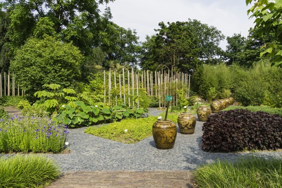 Leiden: Hortus Botanicus Entry Ticket - Seasonal highlights worth planning around