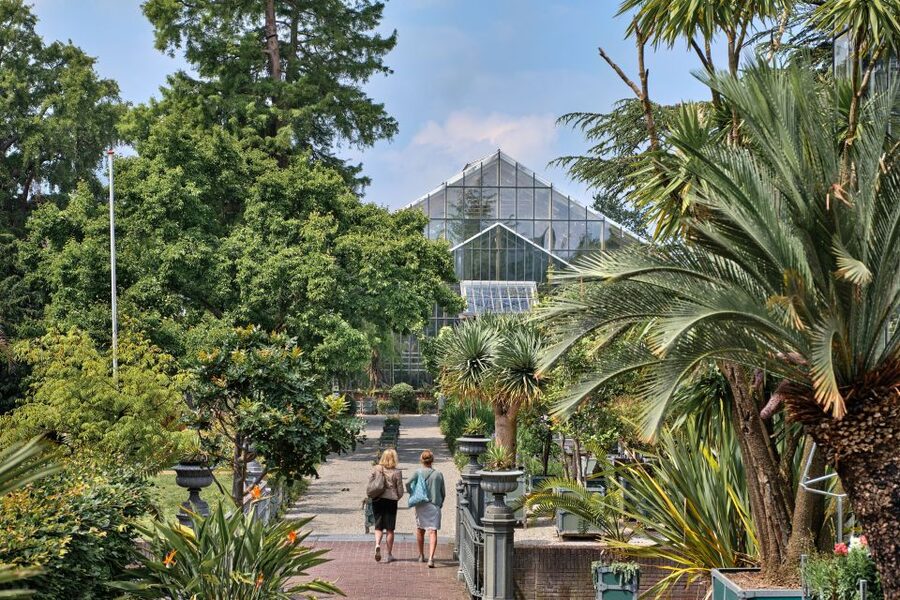 Leiden: Hortus Botanicus Entry Ticket - How much time should you allow?
