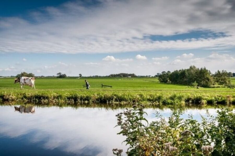 Leiden: Windmill and Countryside Cruise near Keukenhof - Why the Kagerplassen cruise is worth your time