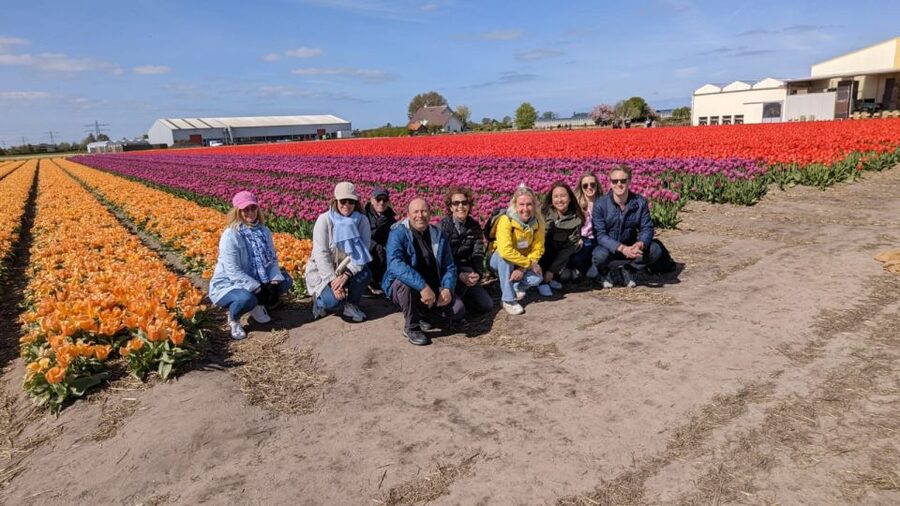 Lisse: Enjoy the Tulip Fields by Bike with a Local Guide! - The First Flower Fields and Seasonal Timing