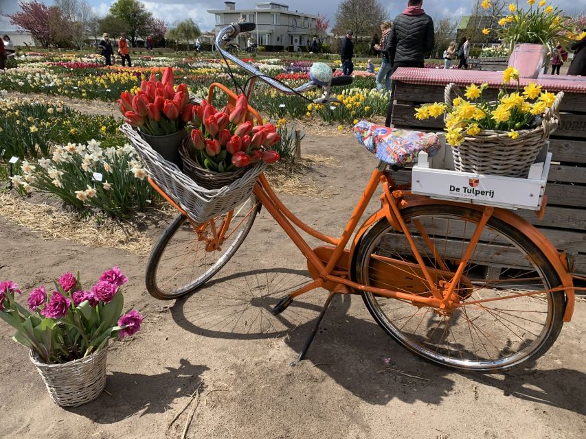 Lisse: Enjoy the Tulip Fields by Bike with a Local Guide! - How Difficult Is the 15-Kilometer Ride?