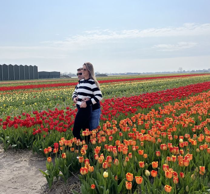 Lisse: Enjoy the Tulip Fields by Bike with a Local Guide! - Who Will Enjoy This Ride Most?