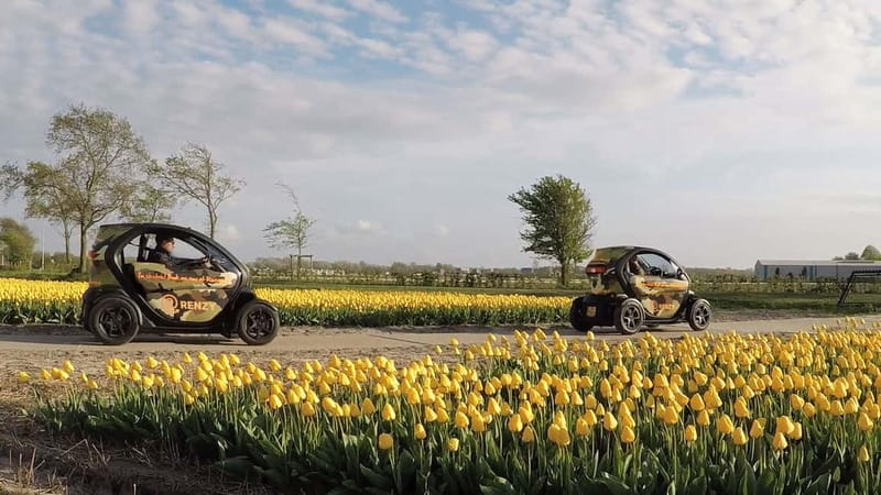 Lisse: Self-Guided Tulip Fields GPS Audio Tour - Key points at a glance