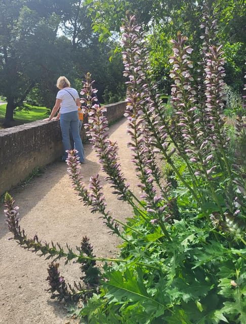 Maastricht Hidden Gems Tour Uncover the Unexpected - Key points at a glance