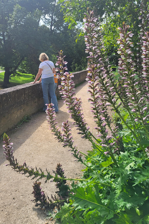Maastricht Hidden Gems Tour Uncover the Unexpected - Dominicanerkerkstraat and the walk back