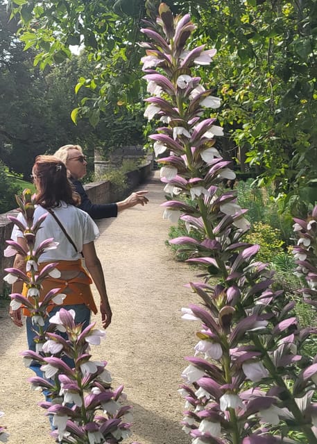 Maastricht Hidden Gems Tour Uncover the Unexpected - Roman remains at Op de Thermen