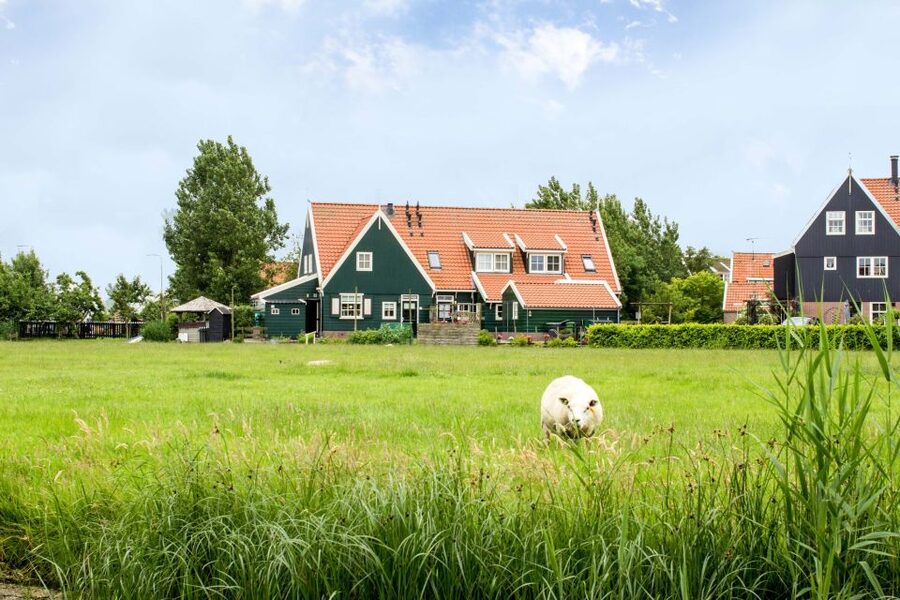 Marken, Volendam and Edam: Private Full-Day Tour - Should you book Marken, Volendam, and Edam?