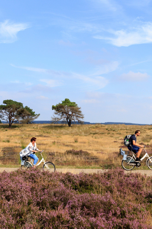 Otterlo: De Hoge Veluwe National Park Entry Ticket - Is the $16 ticket good value?