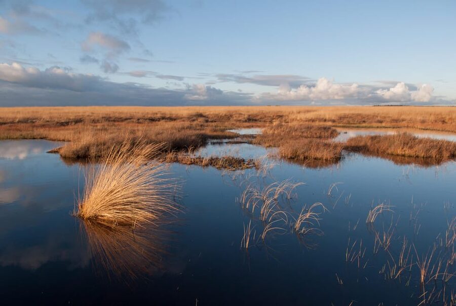 Otterlo: De Hoge Veluwe National Park Entry Ticket - Why De Hoge Veluwe makes a strong day trip