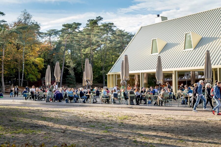 Otterlo: De Hoge Veluwe National Park Entry Ticket - Looking for wildlife and birds