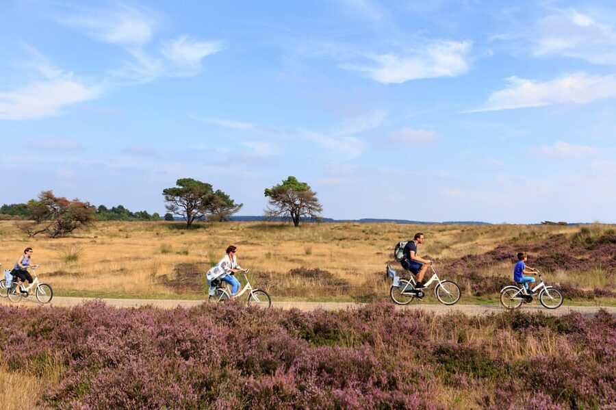Otterlo: De Hoge Veluwe National Park Entry Ticket - Riding to the Kröller-Müller Museum