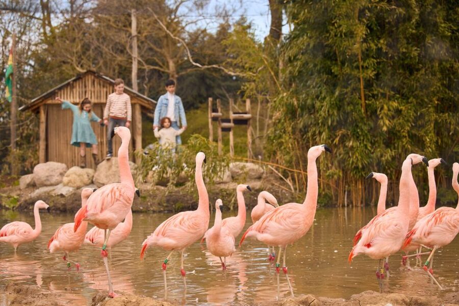 Overloon: ZooParc Entrance Ticket - ZooParc Overloon at a glance