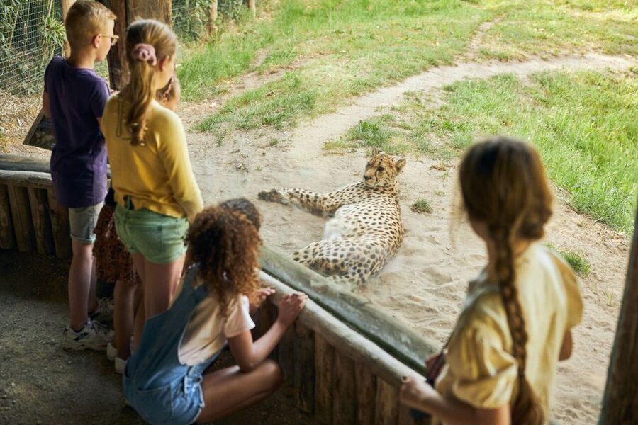 Overloon: ZooParc Entrance Ticket - Madidi finishes with South American wildlife
