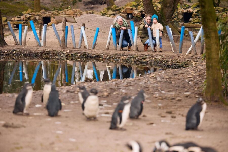 Overloon: ZooParc Entrance Ticket - Why this North Brabant zoo feels different