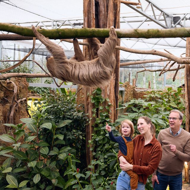 Overloon: ZooParc Entrance Ticket - The Outback has kangaroos and free-roaming birds