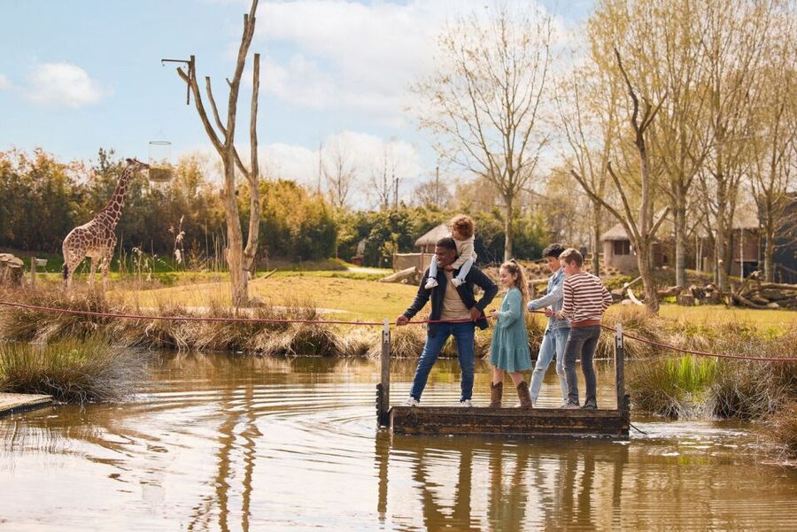 Overloon: ZooParc Entrance Ticket - Itampolo pairs lemurs with tortoises and pelicans