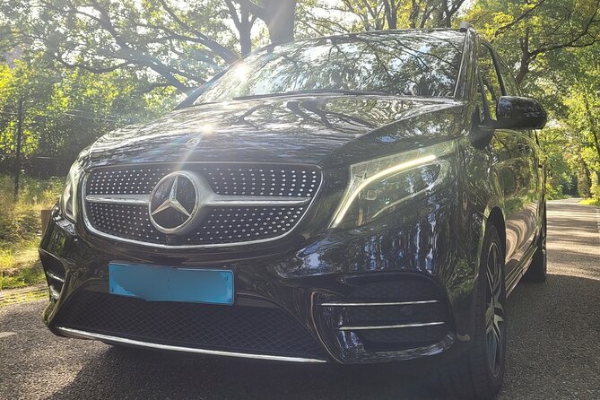 Private Arrival Transfer: Schiphol Airport Amsterdam - Sedan or minivan: choosing the right vehicle