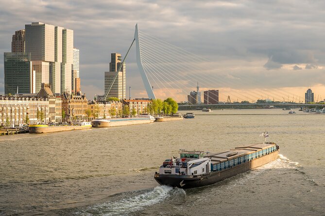 Private Day Tour: Rotterdam and The Hague. English or Spanish - The Hague: government, diplomacy, and a slower pace