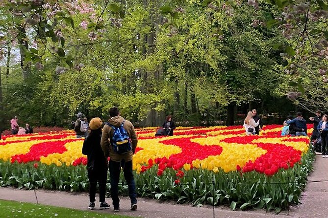 Private Day Tour to Keukenhof Gardens - from Amsterdam/Rotterdam - Why a private Keukenhof trip works so well