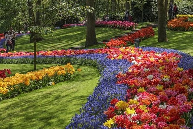 Private Day Tour to Keukenhof Gardens - from Amsterdam/Rotterdam - Entering Keukenhof with a guide