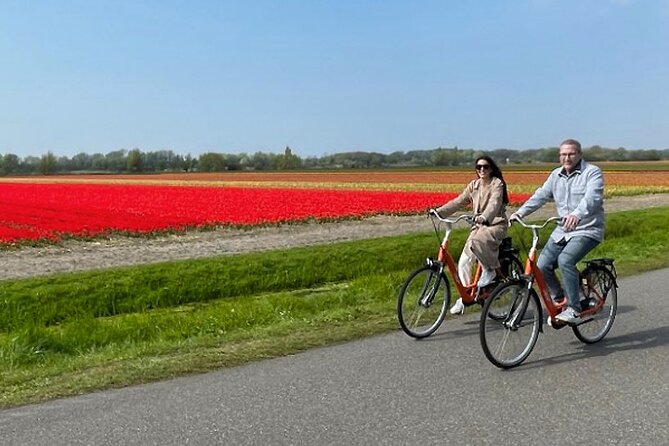 Private Day Tour to Keukenhof Gardens - from Amsterdam/Rotterdam - Choosing your extra stop