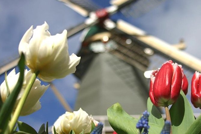 Private Day Tour to Keukenhof Gardens - from Amsterdam/Rotterdam - Guides who shape the day