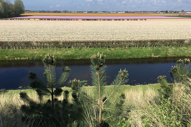 Private daytour from Amsterdam into the Countryside - Marken: A Former Island With Time to Walk