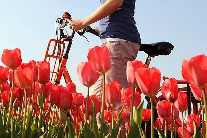 Private Guided Full-Day Customizable Tour of Holland from Amsterdam - Giethoorn, the coast, and unexpected choices